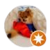 what the pho pic removebg preview